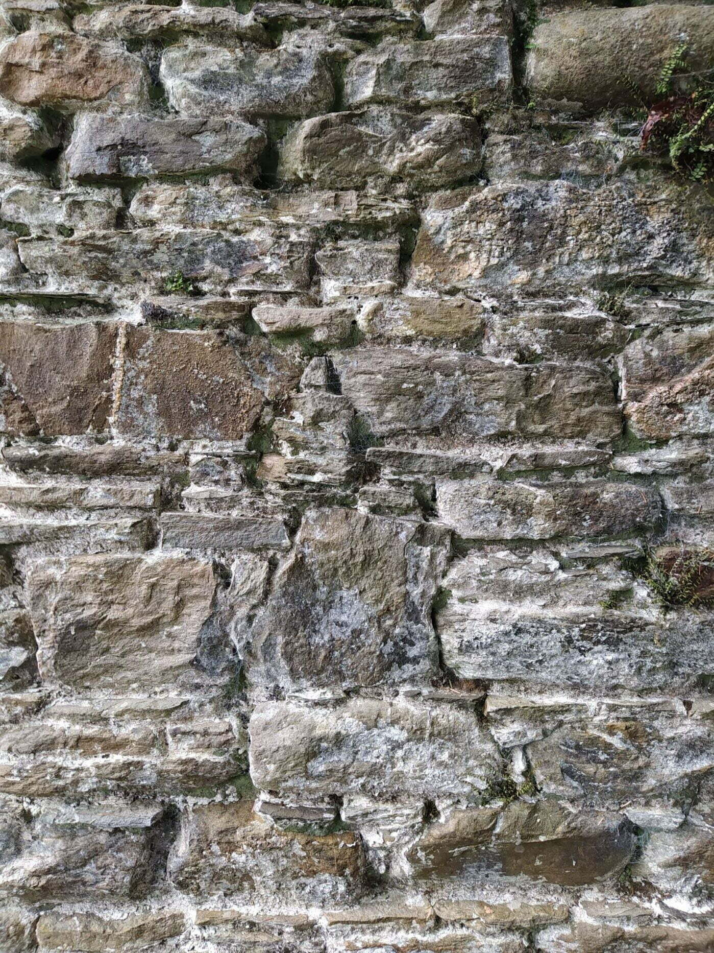 Sample Stonework From Vernacular Sandstone Wall Prior To Restoration
